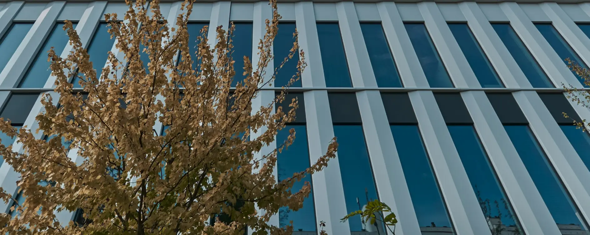 Image du deuxième projet, bâtiment avec beaucoup de fenêtres